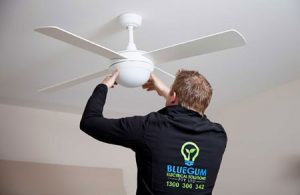 Bluegum Electrical Solutions Electrical Services